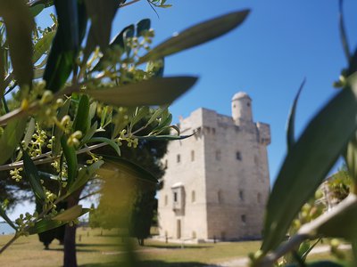 Tour Saint Louis extérieur