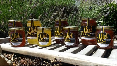 Abeilles et miel de la Sainte Baume - Plan d'Aups Sainte Baume