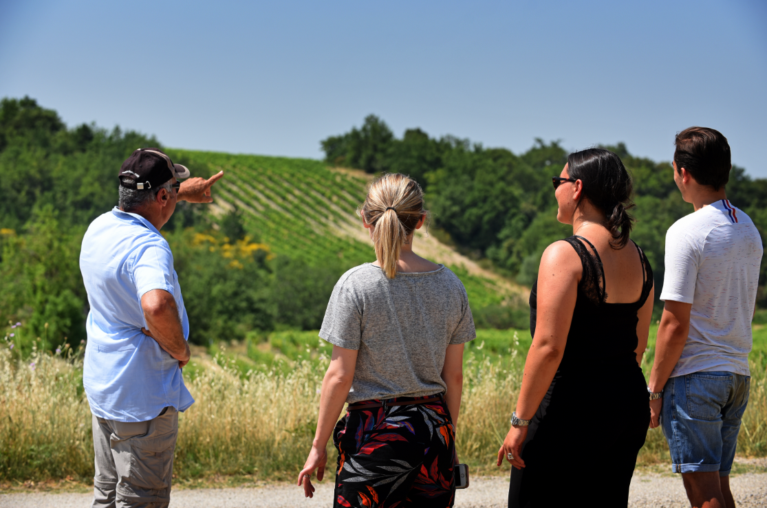 VMV Les Vignerons Du Mont Ventoux Chemins Des Parcs