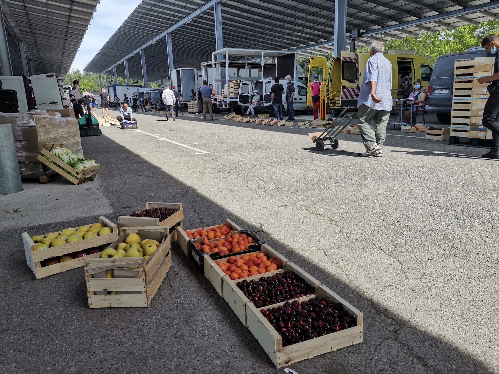 Fruits et légumes à découper Jour de marché