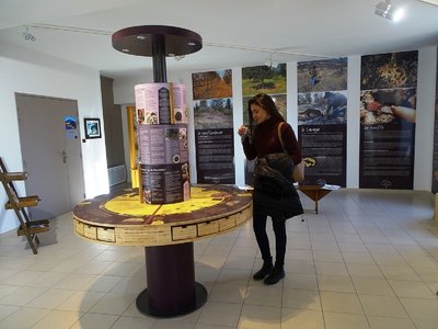 Musée de la truffe