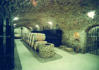 EARL VINSON Domaine du Moulin