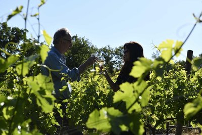 Domaine Marsaleix
