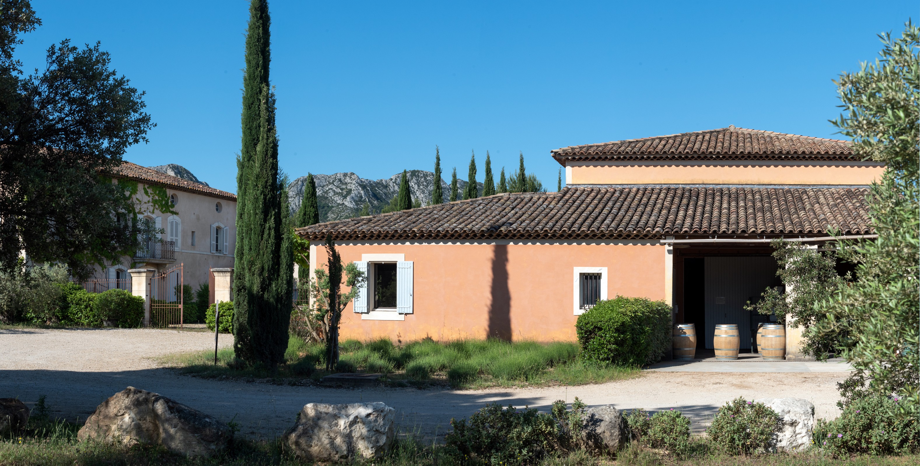 Domaine d'Eole, vignoble à Eygalières