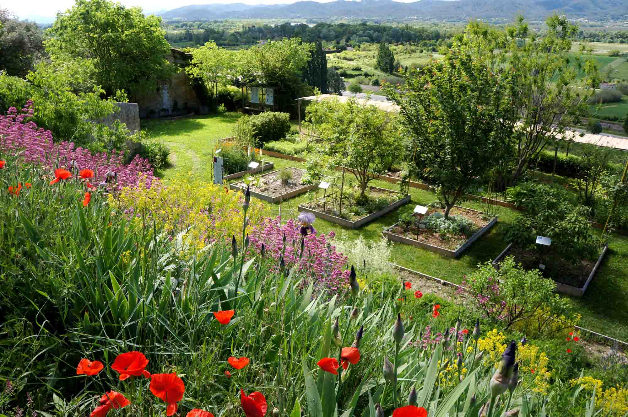 Jardin des Plantes Tinctoriales
