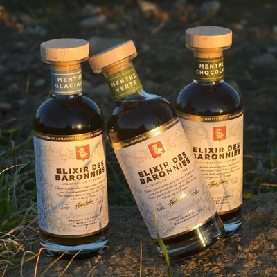 Domaine Nicoleau_Bénivay-Ollon