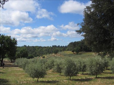 VAR TOURISME CB_TAURENNE_TOURTOUR (1)