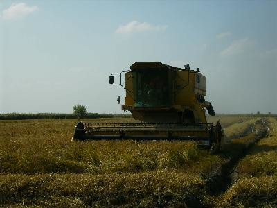 13T4E00426_2_WEB.jpg