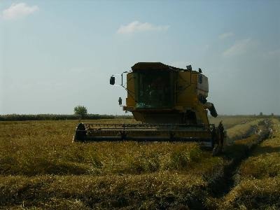 13T4E00426_2_WEB.jpg