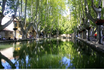 Bassin de l'étang
