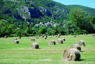 Village