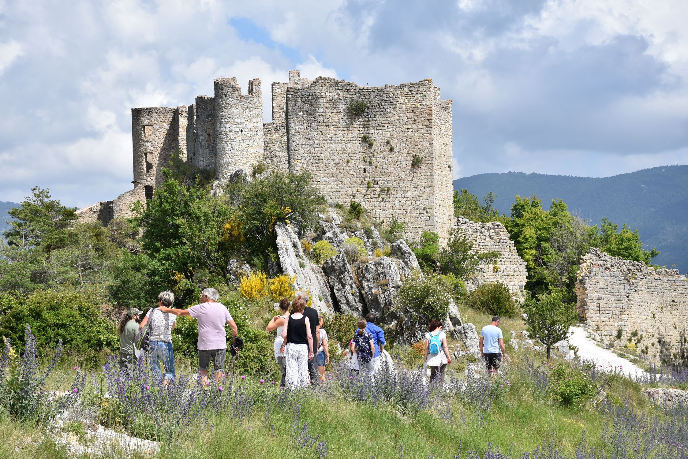 Château de Pontevès