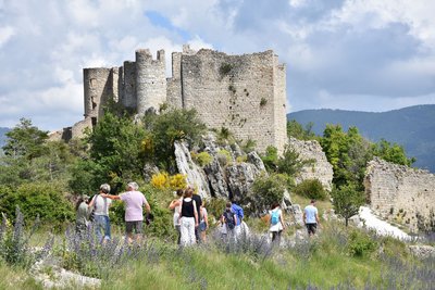 Château de Pontevès