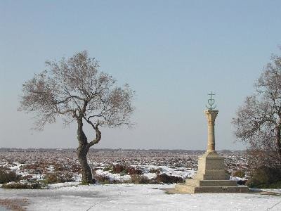13T2001160_1_WEB.jpg