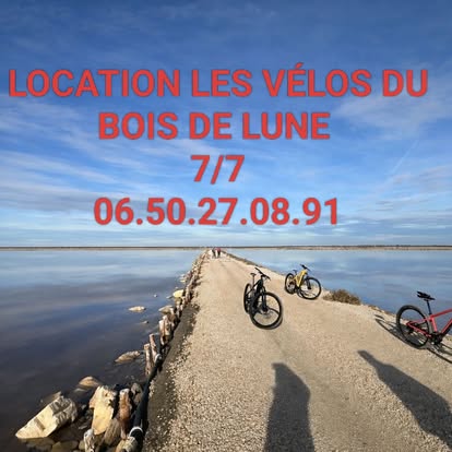 Location de vélos du bois de lune_Arles