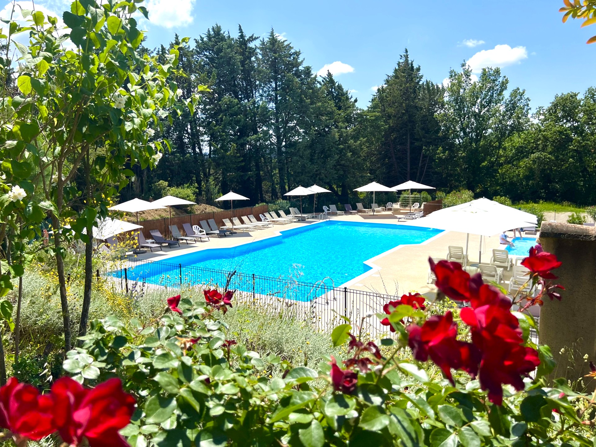 Vue piscine entièrement rénovée