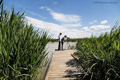 Marais du Vigueirat