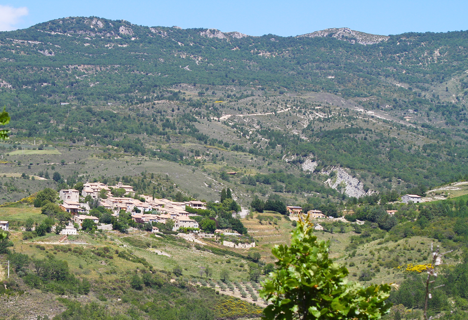 arpavon