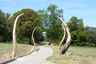 Chemins de Bellevue