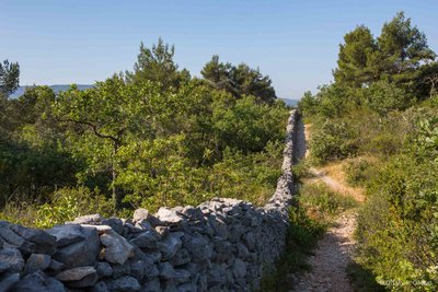 Mur de la Peste