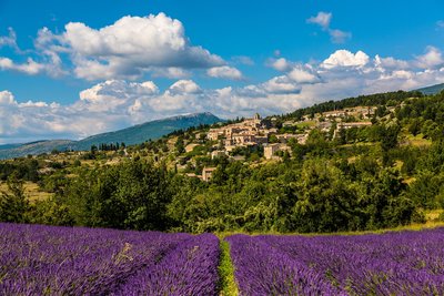 Le village d'Aurel_lavandes