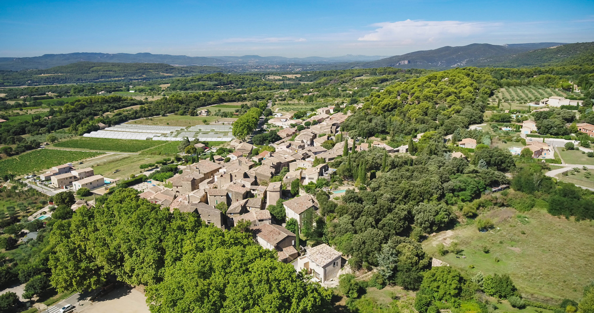 Vaugines