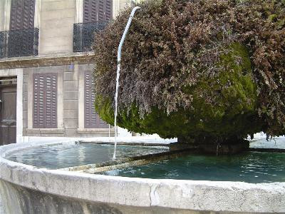 13T2001562_1_WEB.jpg