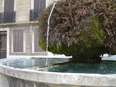 13T2001562_1_WEB.jpg