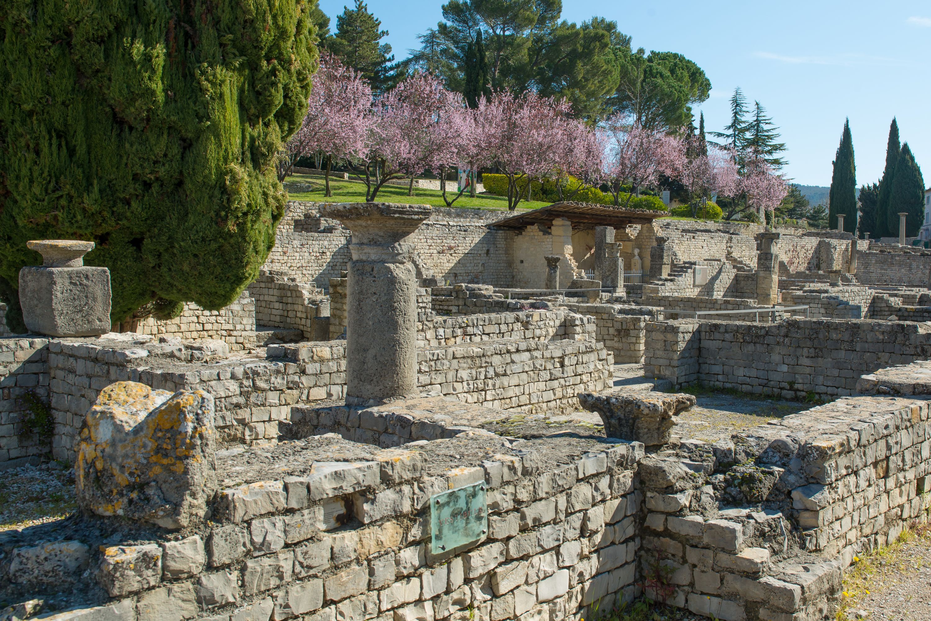 Le parc archéologique de Vaison-la-Romaine_Vaison-la-Romaine