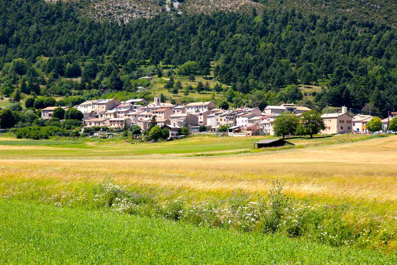 Caille