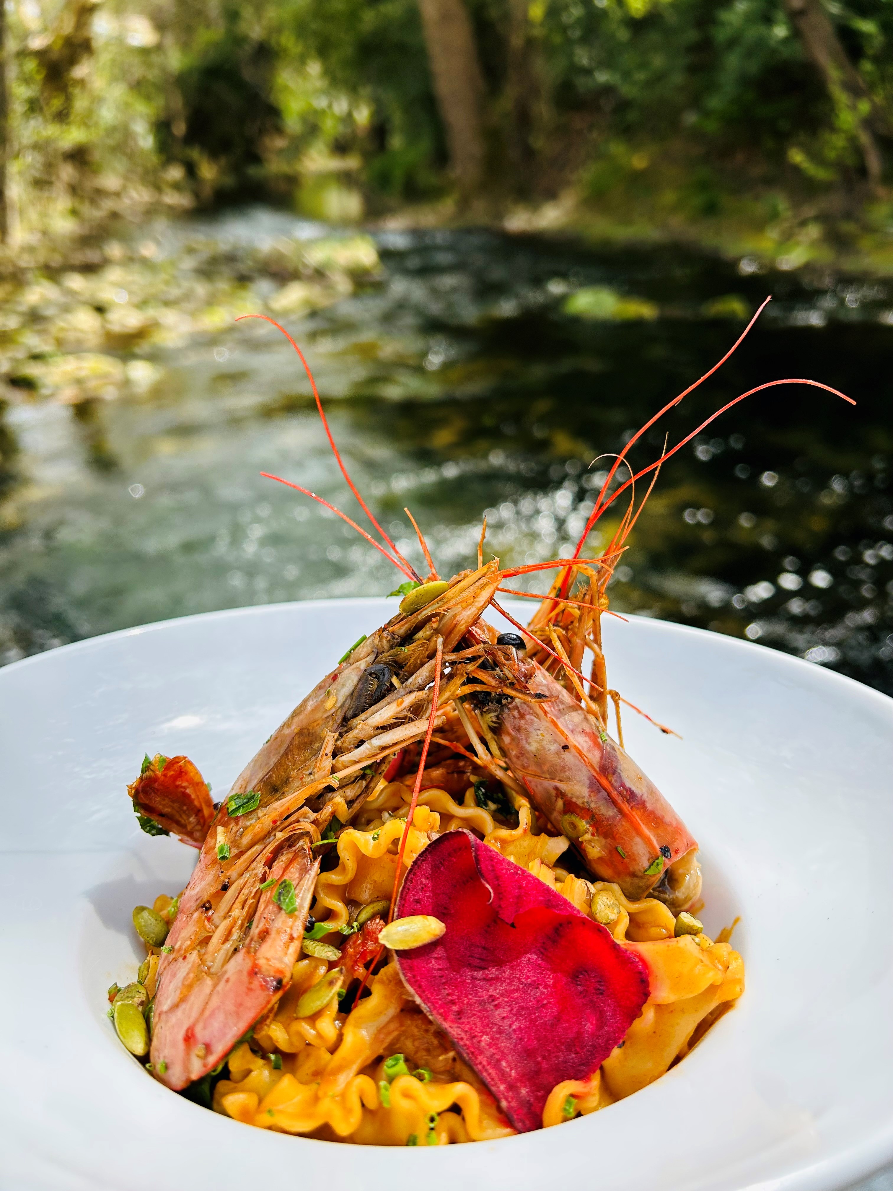 Restaurant La Bastide Enchantée_Solliès-Toucas