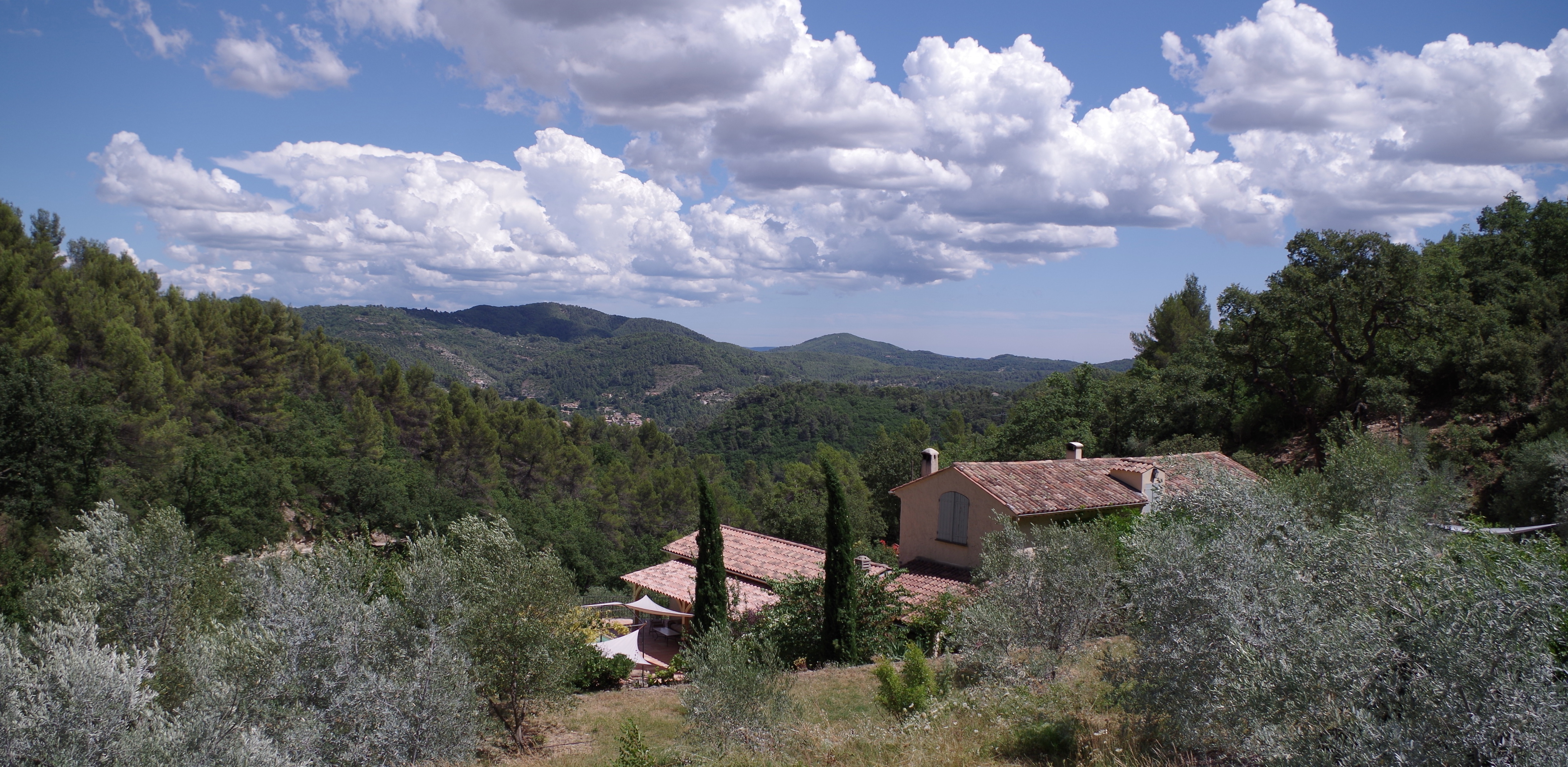 L'Oliveraie des Escavalins