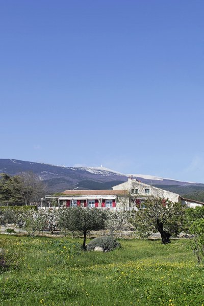 la Colombe