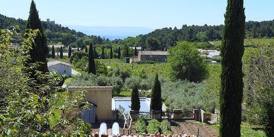 Jardin