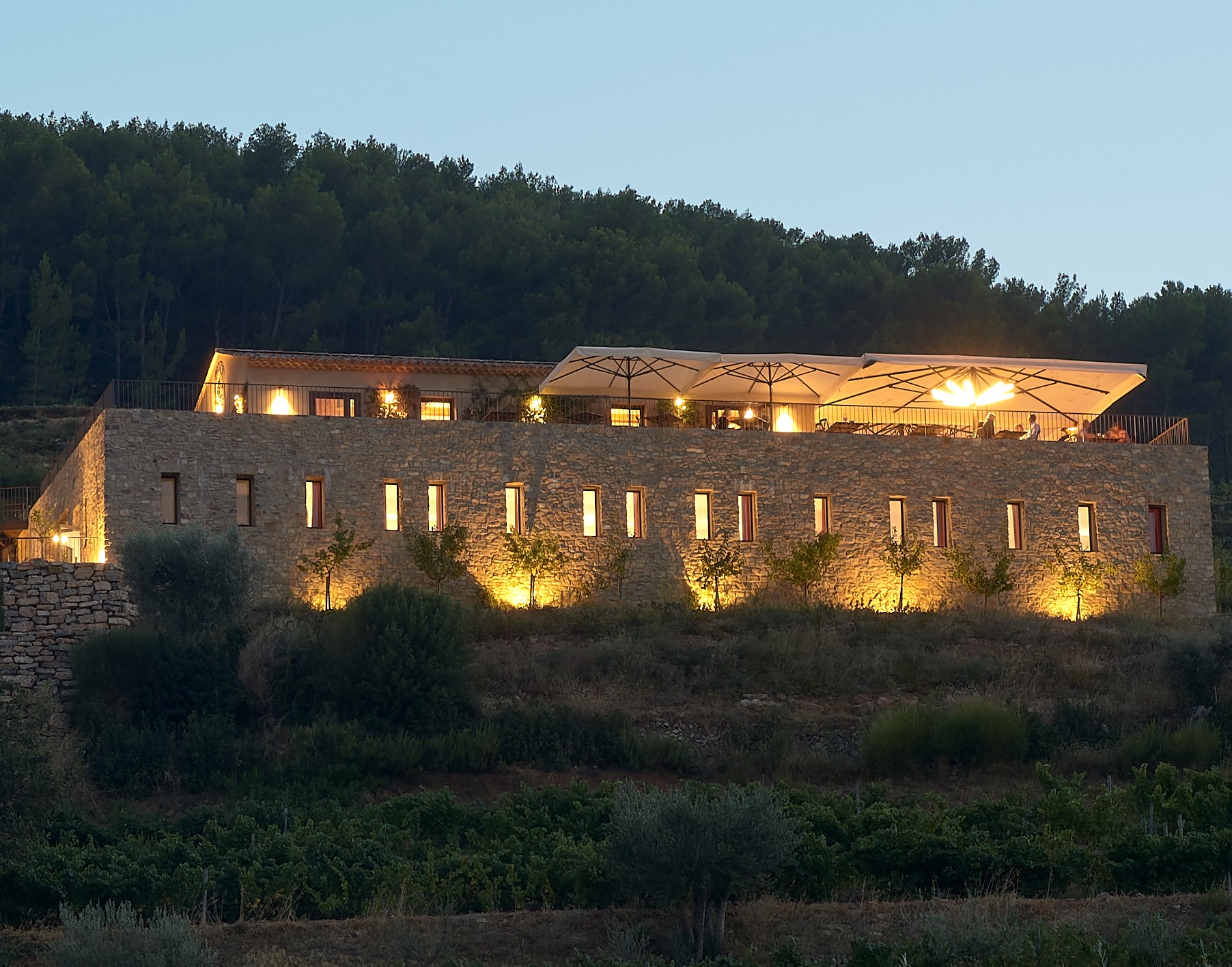 La Cave de nuit