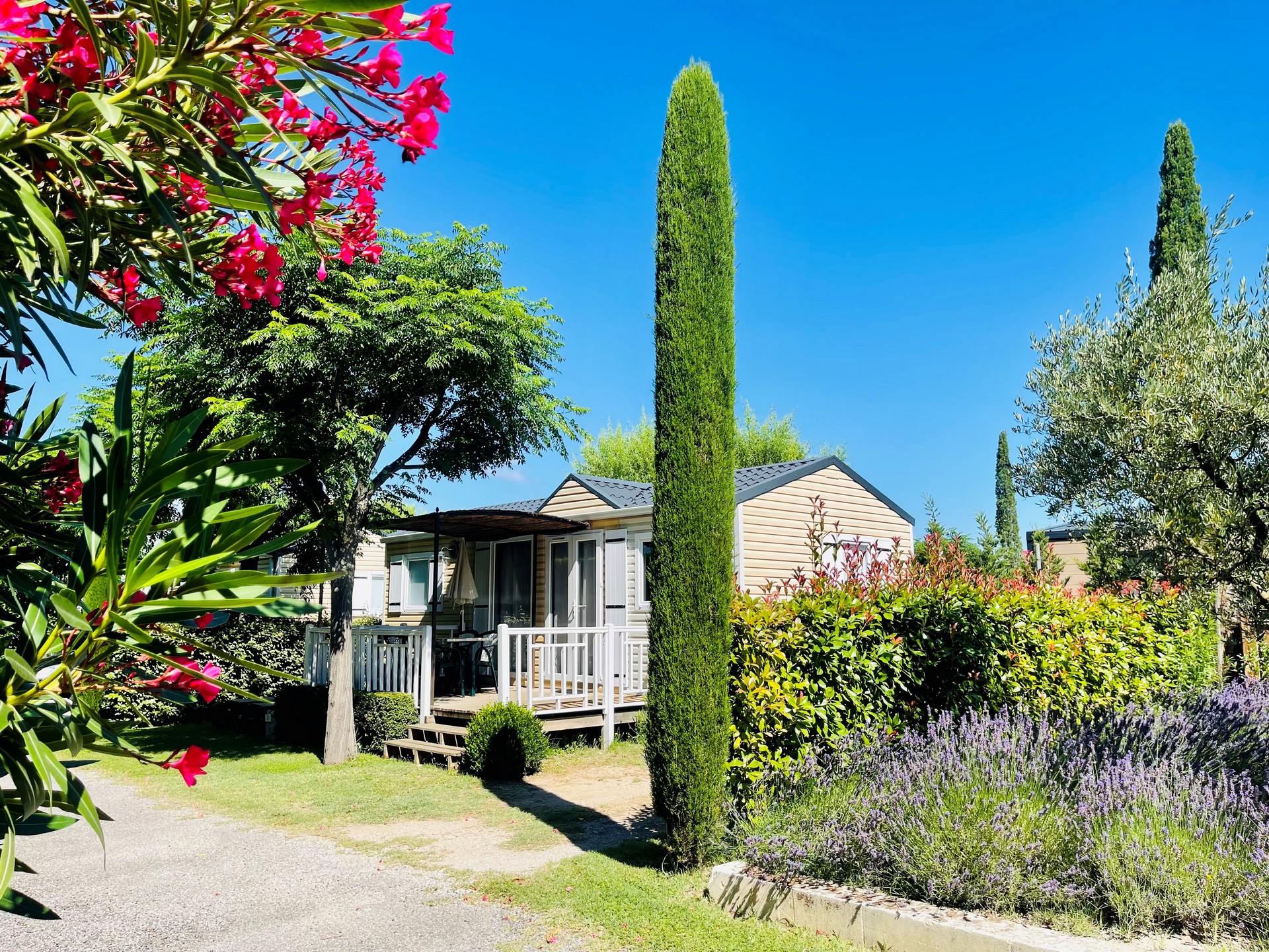 Camping Monplaisir à Saint-Rémy-de-Provence