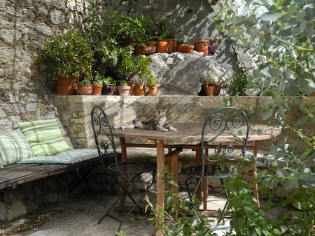 la terrasse.jpg