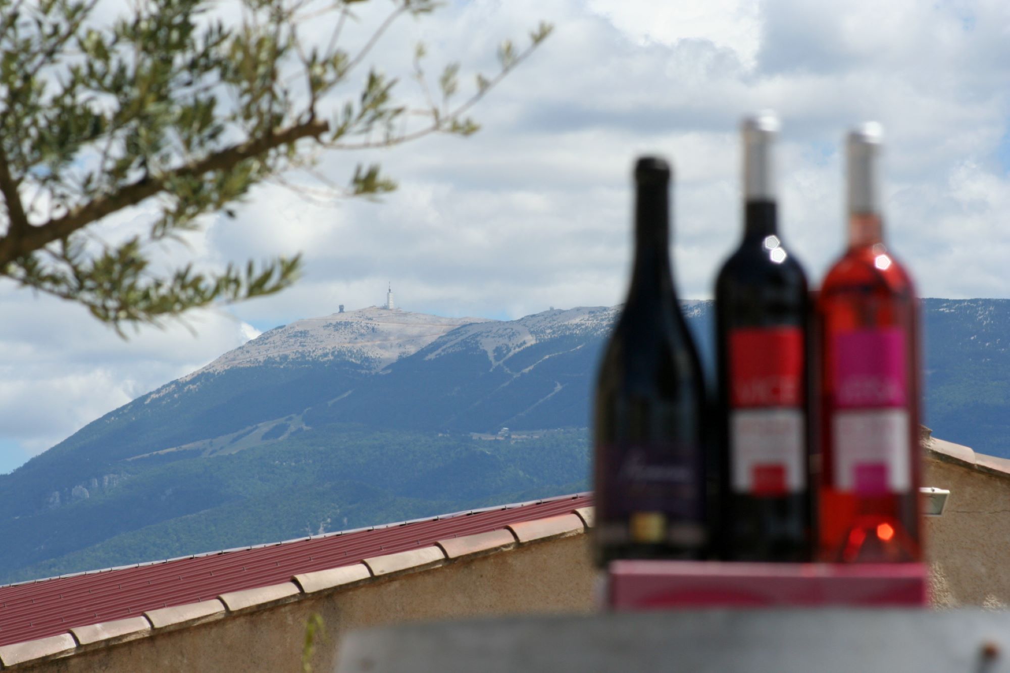 Domaine Bernard_Saint-Romain-en-Viennois