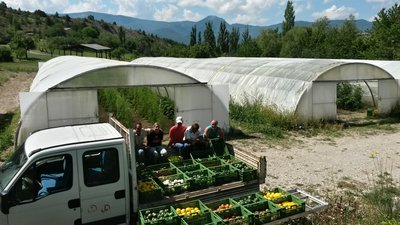 Serres - maraîchage bio