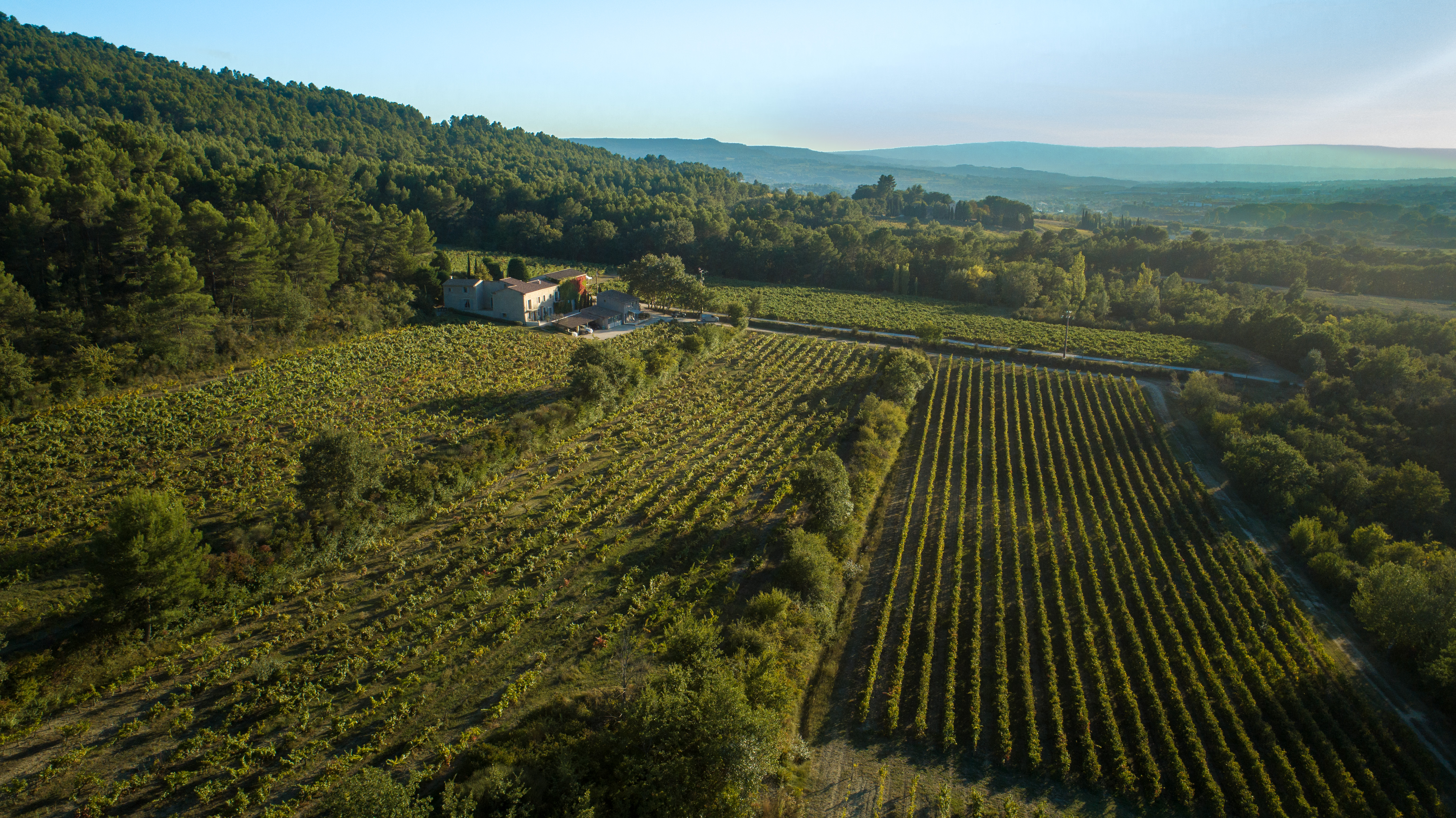 Domaine