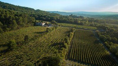 Domaine