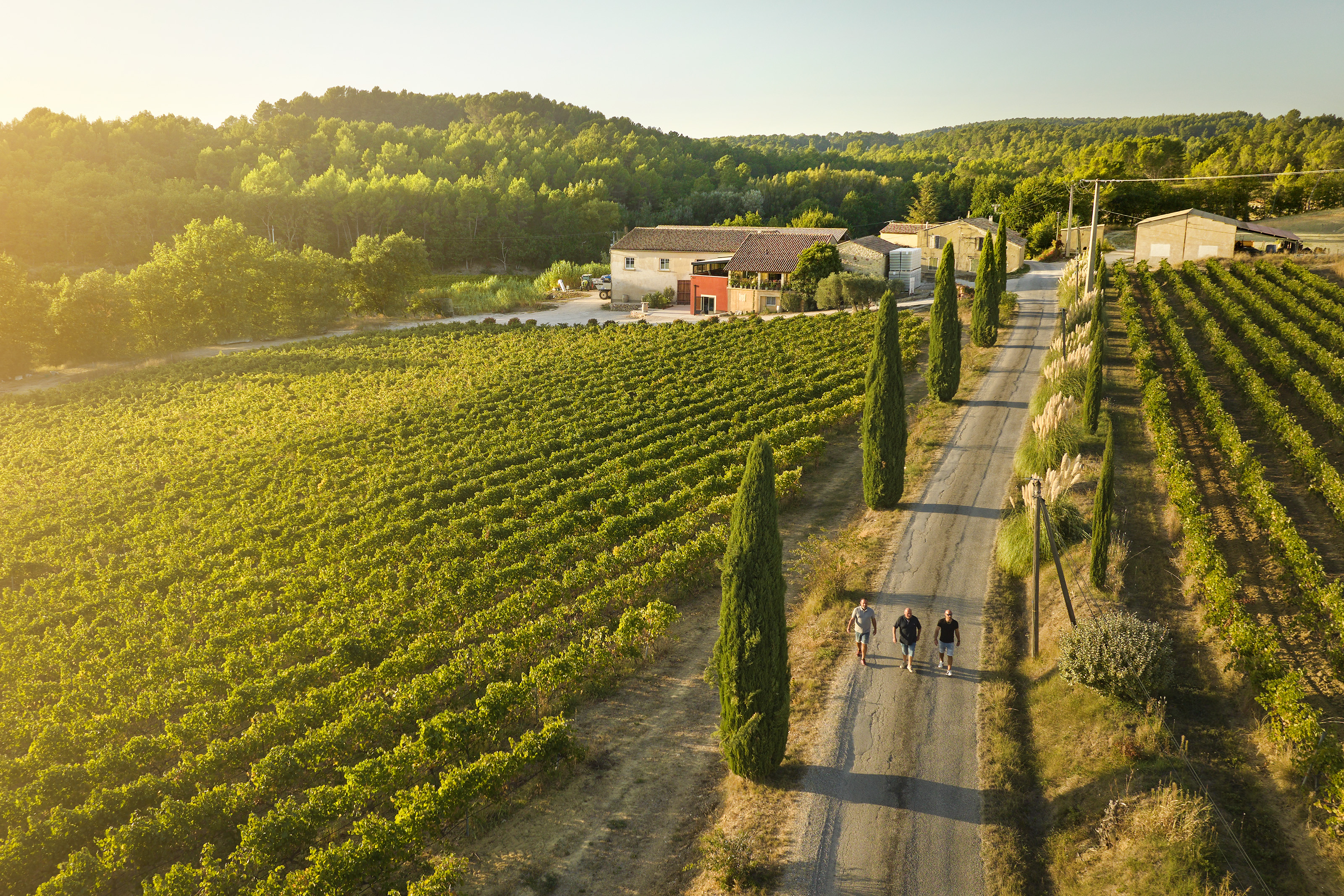 domaine