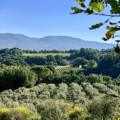 Bastide du Laval Luberon