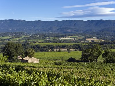 Terre Valdèze
