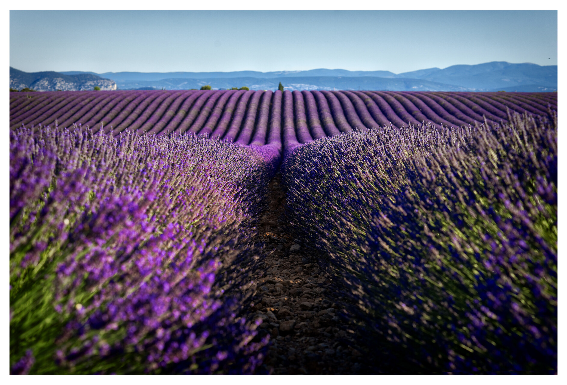 Domaine Les Grandes Marges