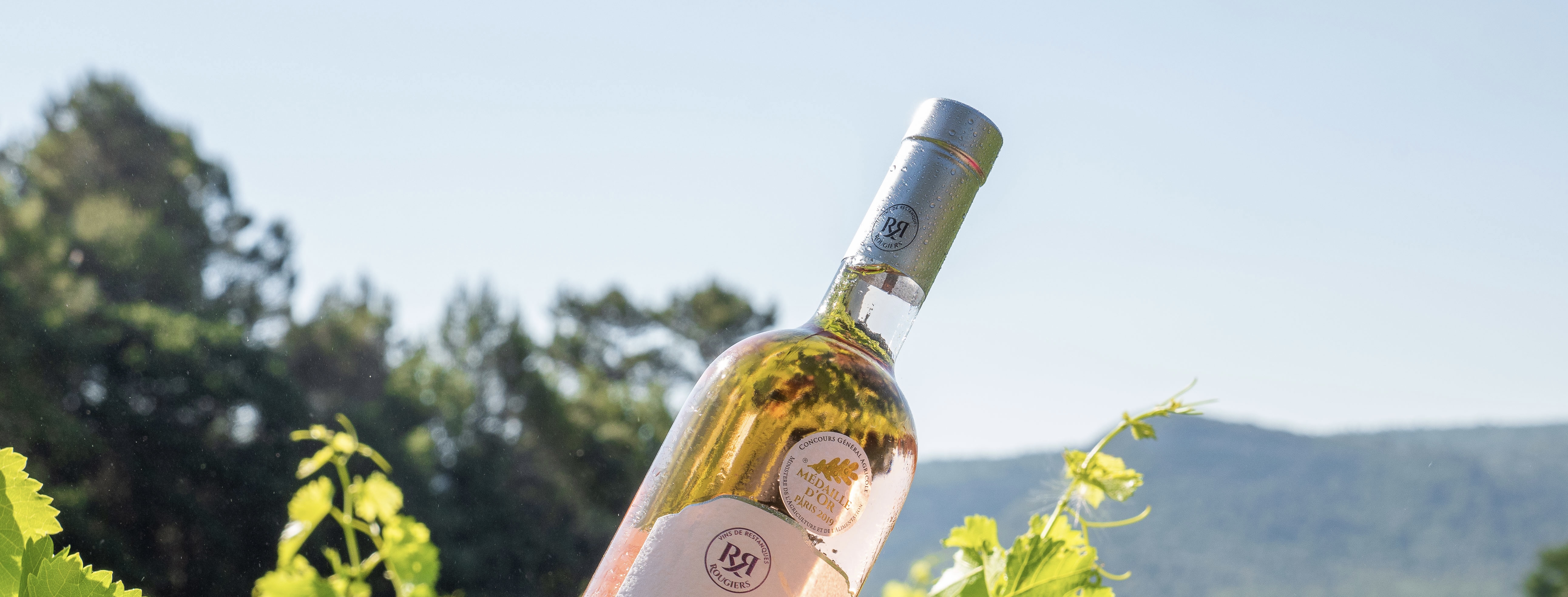 Les Vignerons de La Sainte Baume_Rougiers