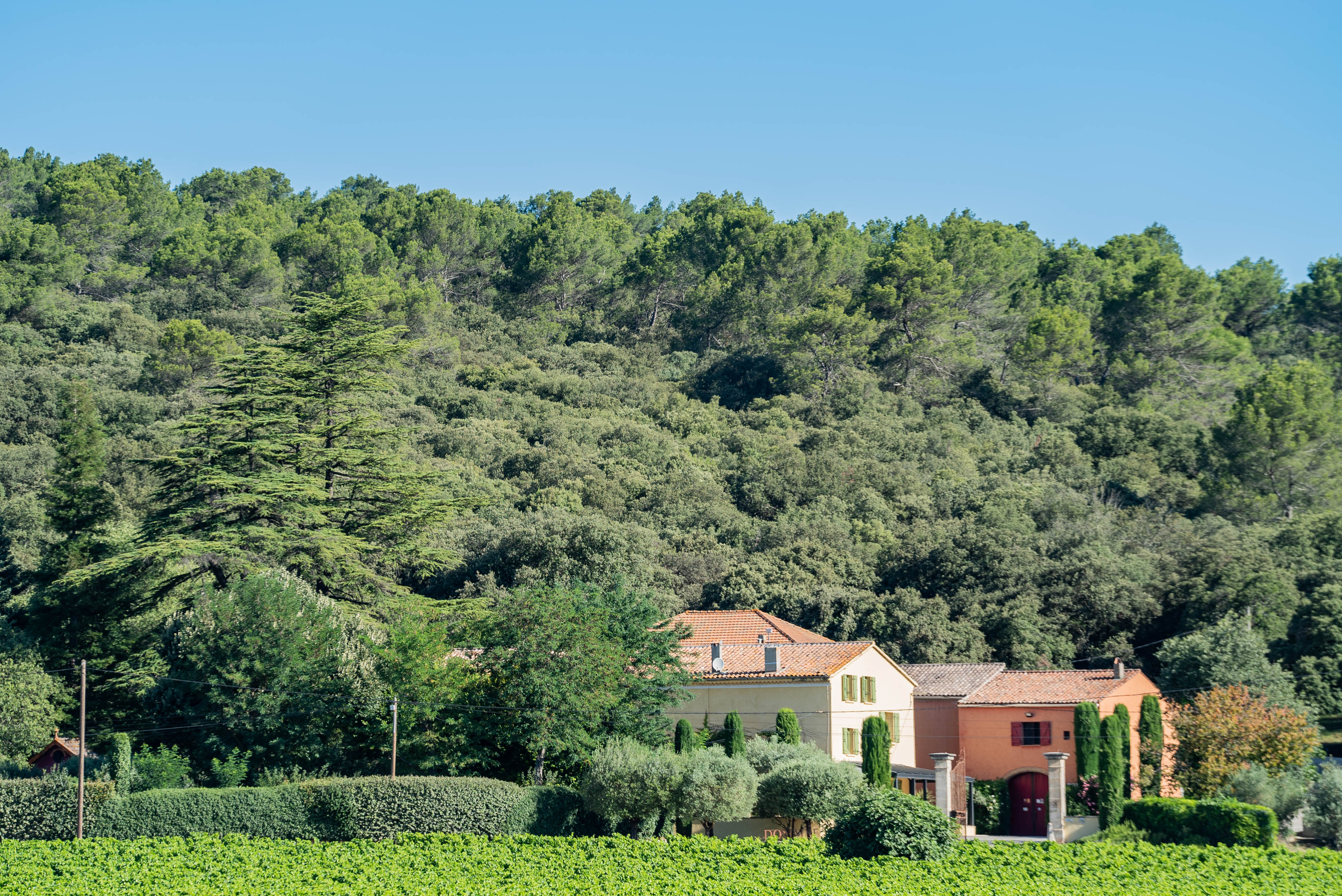 Domaine Saint Mitre - Saint Maximin la Sainte Baume