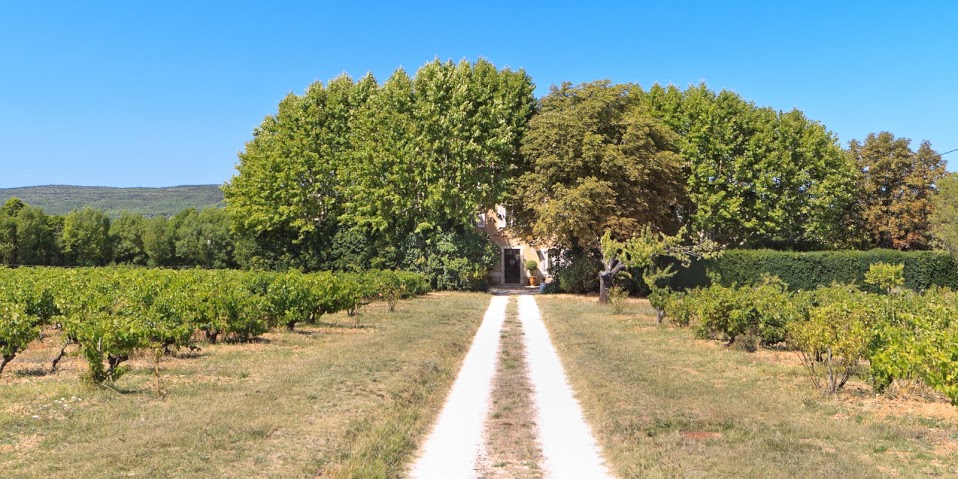 Lady L - Domaine le Clos du Pavillon - Brignoles