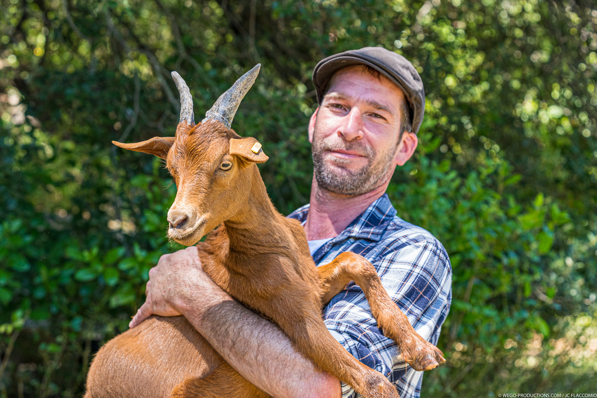 Fromagerie des Vallons - La Roquebrussanne