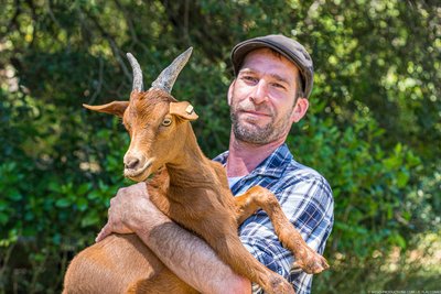 Fromagerie des Vallons - La Roquebrussanne